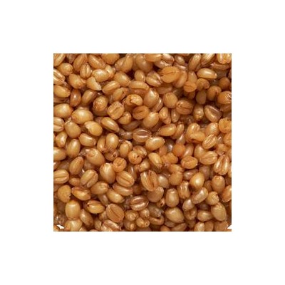Trigo Cocido Proelite Baits Cooked Particles Wheat 1kg