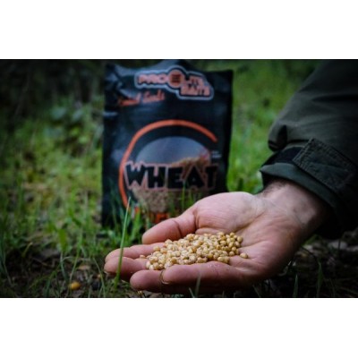 Trigo Cocido Proelite Baits Cooked Particles Wheat 1kg